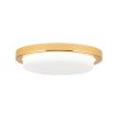 LEROX mennyezeti lámpa, Modern, ORION-Molecz-DL 7-668/20 gold/opal-matt (LED21W/1300l