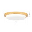 LEROX mennyezeti lámpa, Modern, ORION-Molecz-DL 7-668/20 gold/opal-matt (LED21W/1300l