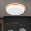 LEROX mennyezeti lámpa, Modern, ORION-Molecz-DL 7-669/30 gold/opal-matt (LED29W/2100l