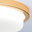 LEROX mennyezeti lámpa, Modern, ORION-Molecz-DL 7-669/30 gold/opal-matt (LED29W/2100l