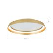 MANTA modern mennyezeti lámpa, Orion-Molecz-DL 7-699/45 gold-matt(LED38W/2400lm/3CCT