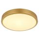 TIBEY LED mennyezeti lámpa modern, GLOBO-LIGHTING, 12381-15
