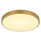 TIBEY LED mennyezeti lámpa modern, GLOBO-LIGHTING, 12381-22