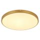 TIBEY LED mennyezeti lámpa modern, GLOBO-LIGHTING, 12381-30