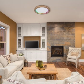   BRANZA LED mennyezeti lámpa modern, GLOBO-LIGHTING, 41374-24R