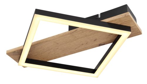 BEATRIX LED mennyezeti lámpa modern, GLOBO-LIGHTING, 67294D