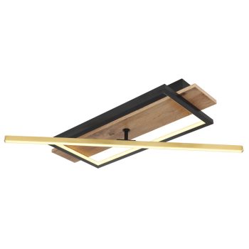 BEATRIX LED mennyezeti lámpa modern, GLOBO-LIGHTING, 67296D