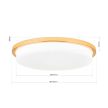 LEROX LED mennyezeti lámpa modern, ORION-Molecz, DL7-670/40gold/opal-matt